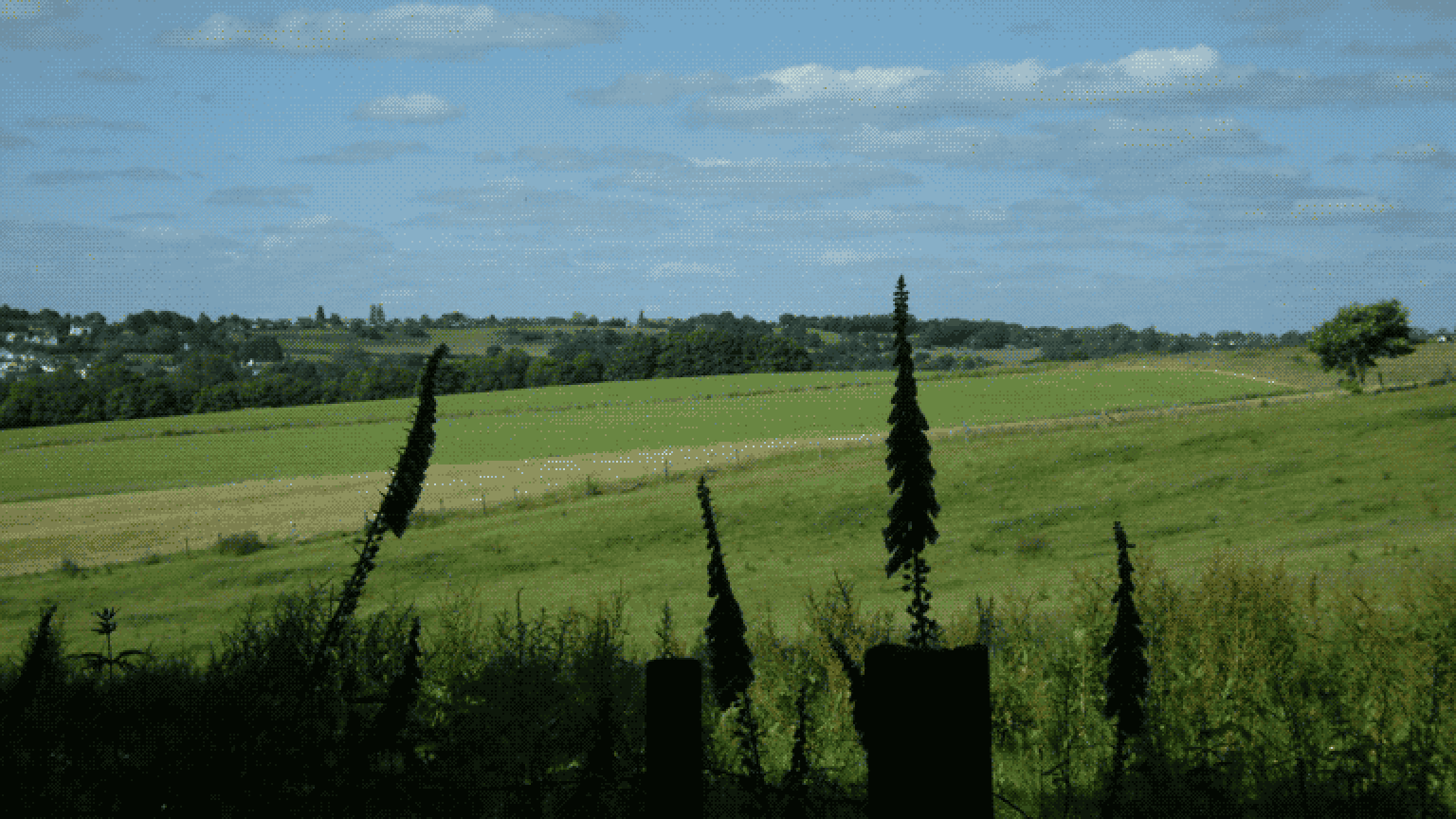 A large open field stretching to the horizon with hills and lines of trees across it. There are clear blue skies with only a few clouds above, and silhouettes of flowers and fence posts standing in the foreground.